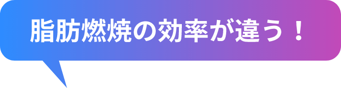 脂肪燃焼の効率が違う！